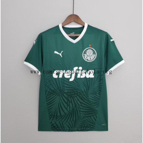 Camiseta Palmeiras Primera Equipación 2022/2023 Niño Saldo, consigue