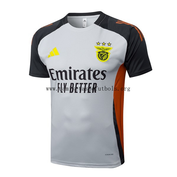 Camiseta Entrenamiento Benfica 2025/26 Gris 3 Chollo regalado de infarto