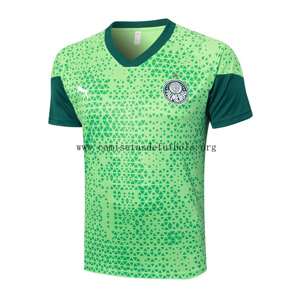 Camiseta Entrenamiento Palmeiras 2024/25 Verde ¡¡Ni te imaginas ahorro, activa!