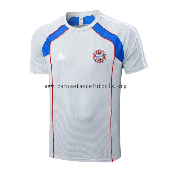 Camiseta Entrenamiento Bayern Munich 2025/26 Gris 3 ¡¡Menudo/a bicoca, dispara!