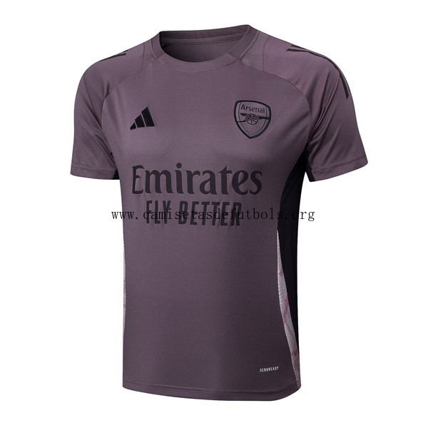 Camiseta Entrenamiento Arsenal 2025/26 Purpura Gris Gangaza, no lo dejes escapar