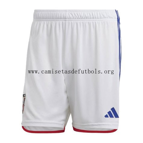 Pantalones Japón Replica Primera Ropa 2022/23 Rebajón transparente